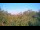 Webcam in Metairie, Louisiana, 285.7 km