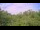 Webcam in Metairie, Louisiana, 262 km