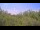 Webcam in Metairie, Louisiana, 262 km