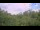 Webcam in Metairie, Louisiana, 259.9 km