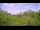 Webcam in Metairie, Louisiana, 2.1 mi away