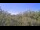 Webcam in Metairie, Louisiana, 135.5 mi away