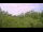 Webcam in Metairie, Louisiana, 76 mi away