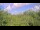 Webcam in Metairie, Louisiana, 61 mi away