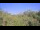 Webcam in Metairie, Louisiana, 122.3 mi away