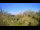 Webcam in Metairie, Louisiana, 110.7 mi away
