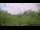 Webcam in Metairie, Louisiana, 73.5 km