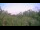 Webcam in Metairie, Louisiana, 101.1 mi away