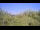 Webcam in Metairie, Louisiana, 286.8 km