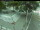 Webcam in Besançon, 1.8 mi away