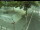 Webcam in Besançon, 0.7 km