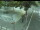 Webcam in Besançon, 0.7 km