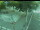 Webcam in Besançon, 67.2 km entfernt