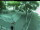 Webcam in Besançon, 0.7 km entfernt