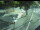 Webcam in Besançon, 67.2 km entfernt