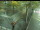 Webcam in Besançon, 67.2 km entfernt