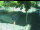 Webcam in Besançon, 3.4 km
