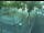 Webcam in Besançon, 1.3 mi away