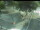 Webcam in Besançon, 4.7 km
