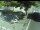 Webcam in Besançon, 67.2 km