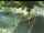 Webcam in Besançon, 3.4 km