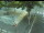 Webcam in Besançon, 4.7 km