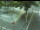 Webcam in Besançon, 4.7 km