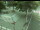Webcam in Besançon, 93.8 km