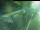 Webcam in Besançon, 4.7 km entfernt