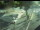 Webcam in Besançon, 1.8 mi away