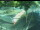 Webcam in Besançon, 67.2 km