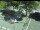Webcam in Besançon, 3.4 km