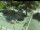 Webcam in Besançon, 1.8 mi away