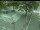 Webcam in Besançon, 89 km