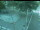 Webcam in Besançon, 1.8 mi away