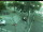 Webcam in Besançon, 4.7 km