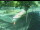 Webcam in Besançon, 4.7 km entfernt