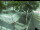 Webcam in Besançon, 1.3 mi away
