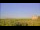 Webcam in Saint Petersburg, Florida, 20.4 km