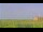 Webcam in Saint Petersburg, Florida, 15 mi away