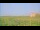 Webcam in Saint Petersburg, Florida, 15.9 mi away