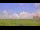 Webcam in Saint Petersburg, Florida, 7.8 mi away