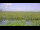 Webcam in Saint Petersburg, Florida, 119.2 km
