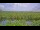 Webcam in Saint Petersburg, Florida, 115.7 km