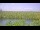 Webcam in Saint Petersburg, Florida, 108.5 km