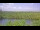 Webcam in Saint Petersburg, Florida, 11.6 km