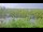 Webcam in Saint Petersburg, Florida, 45.4 km
