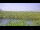 Webcam in Saint Petersburg, Florida, 39.6 km