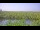 Webcam in Saint Petersburg, Florida, 107.8 km