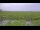 Webcam in Saint Petersburg, Florida, 4.5 mi away